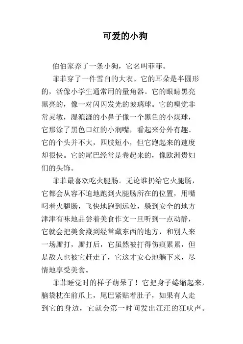 可爱的小狗