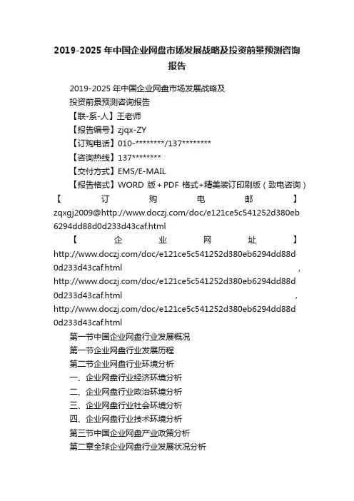 2019-2025年中国企业网盘市场发展战略及投资前景预测咨询报告