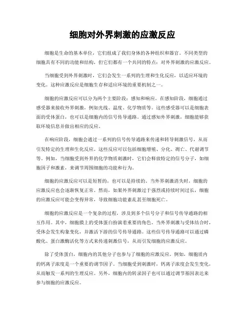 细胞对外界刺激的应激反应