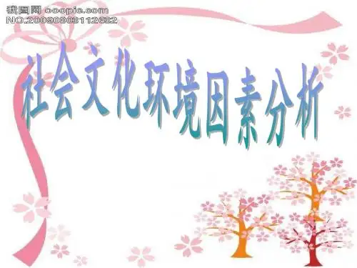 社会文化环境因素分析-精品文档