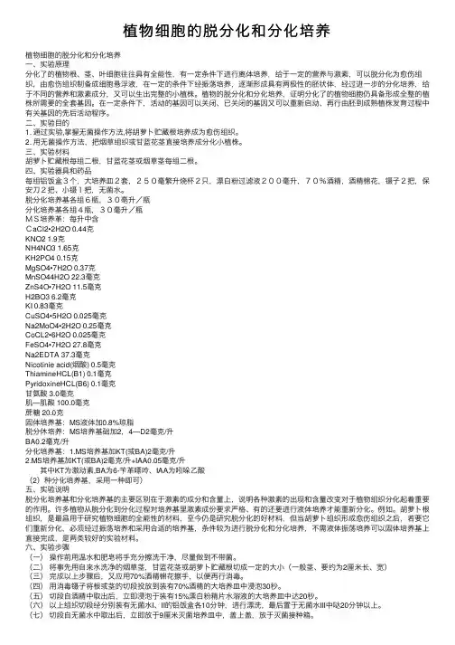 植物细胞的脱分化和分化培养