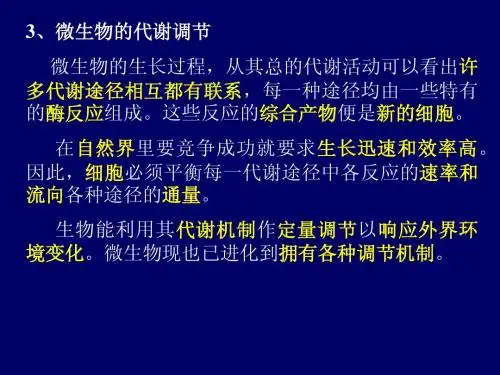 3、微生物的代谢调节