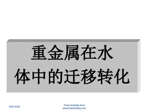 电子教案与课件：《环境化学》课件 7 重金属在水中的迁移转化