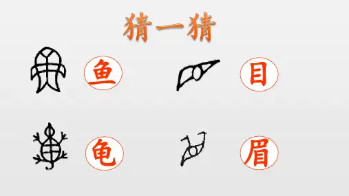 3《“贝”的故事》(章晓骁)公开课教案教学设计课件案例试卷
