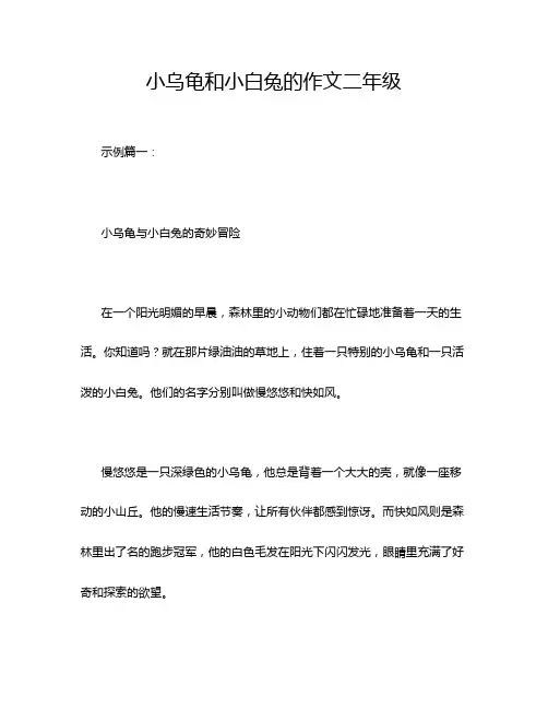小乌龟和小白兔的作文二年级