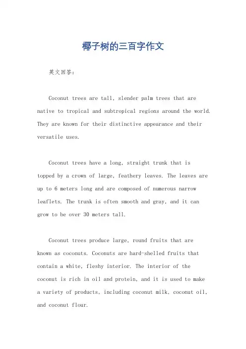 椰子树的三百字作文