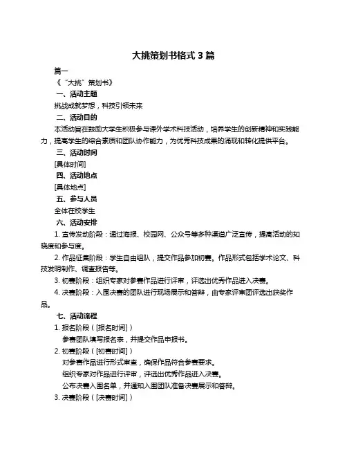 大挑策划书格式3篇