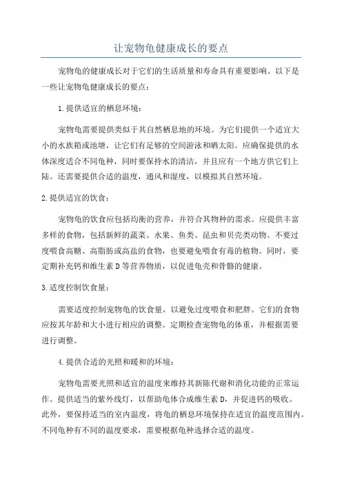 让宠物龟健康成长的要点