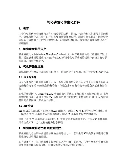 氧化磷酸化名词解释生化