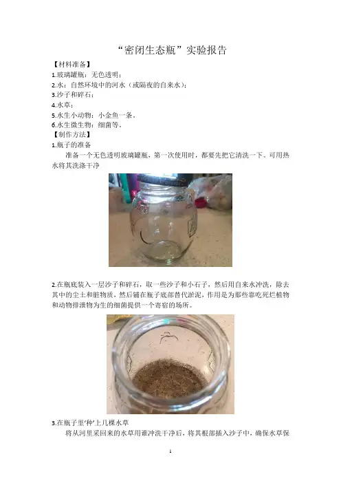 密闭生态瓶实验报告