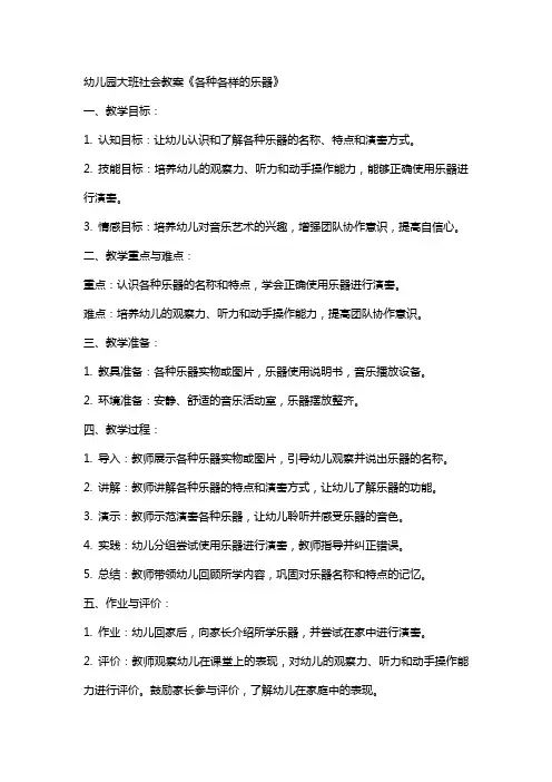 幼儿园大班社会教案《各种各样的乐器》
