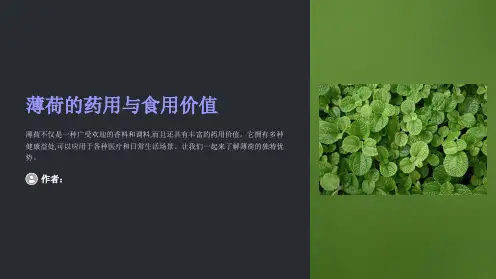 薄荷的药用与食用价值