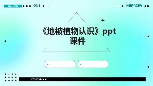《地被植物认识》课件