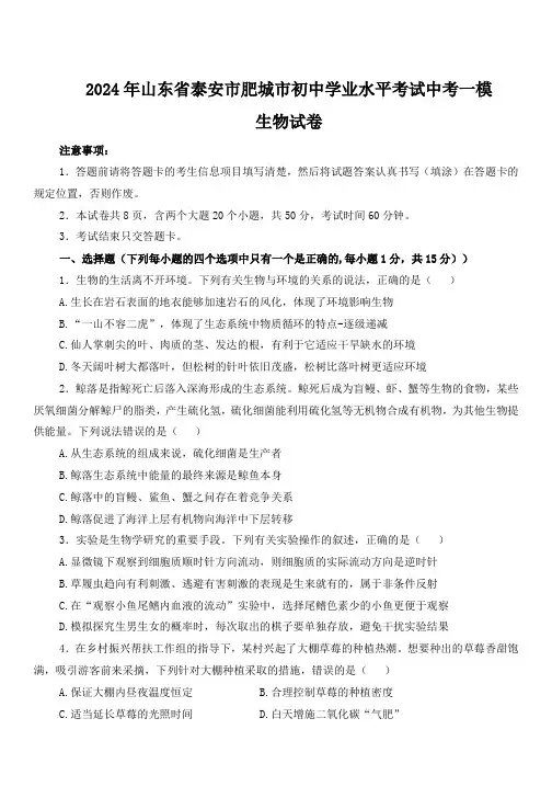 2024年山东省泰安市肥城市初中学业水平考试中考一模生物试卷(word版含答案)