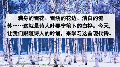人教部编版四年级语文下册第11课《白桦》PPT