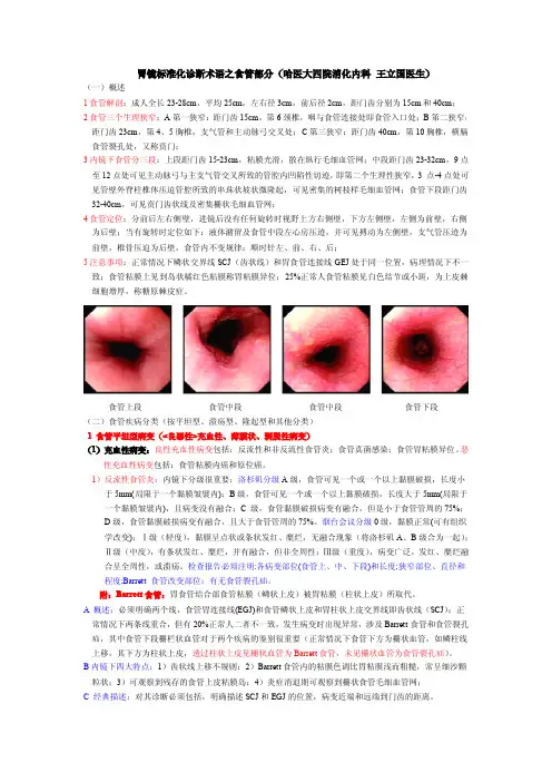 胃镜标准诊断术语之食管部分
