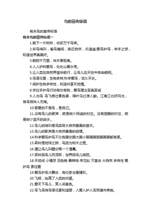 鸟的宣传标语