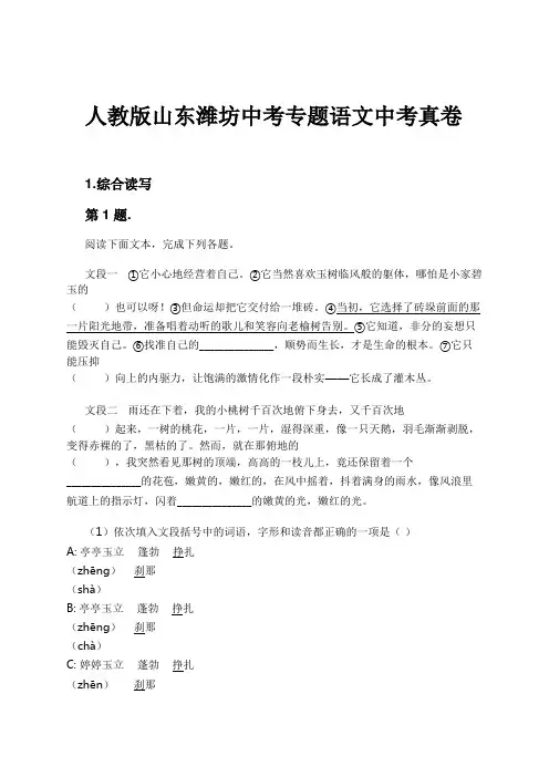 人教版山东潍坊中考专题语文中考真卷试卷及解析
