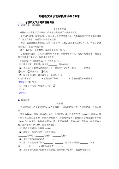 二年级部编语文阅读理解提高训练含解析