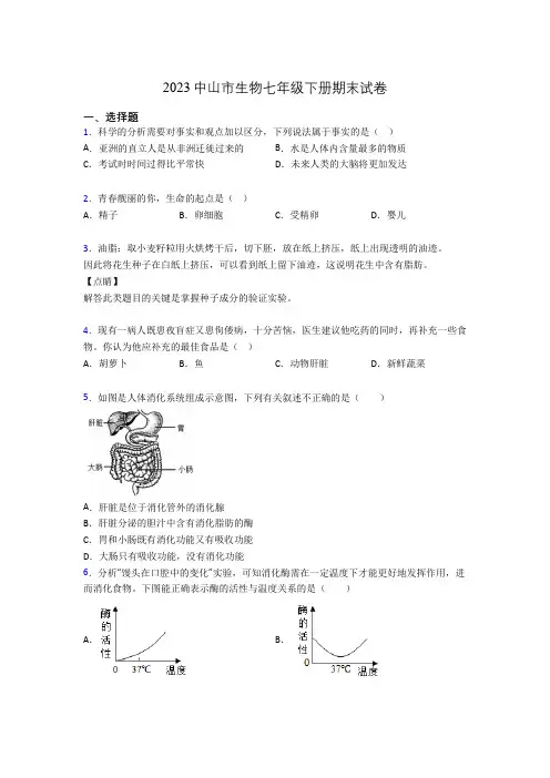 2023中山市生物七年级下册期末试卷