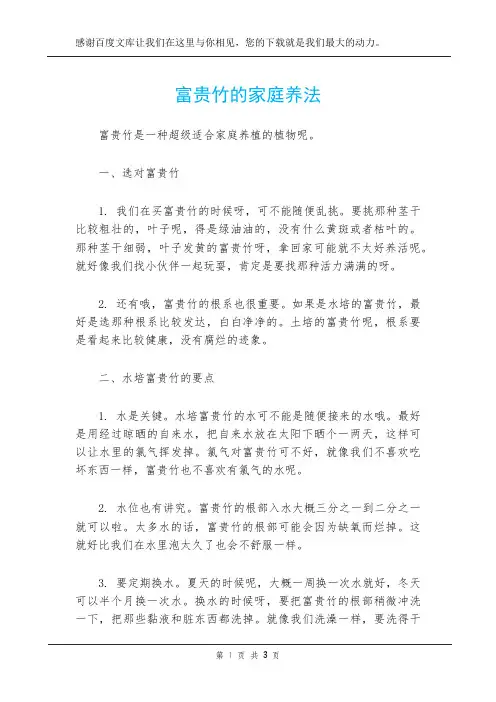 富贵竹的家庭养法