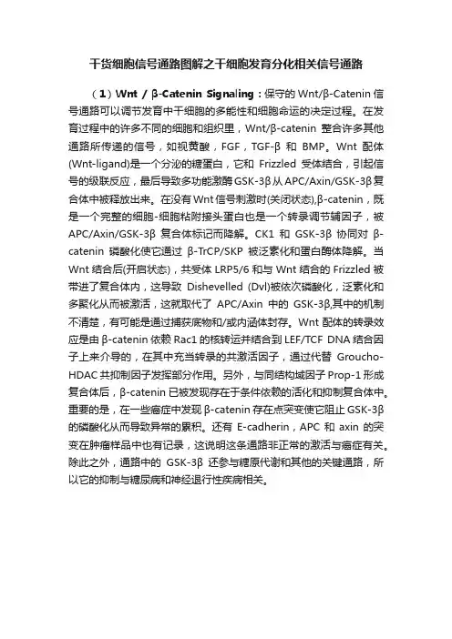 干货细胞信号通路图解之干细胞发育分化相关信号通路