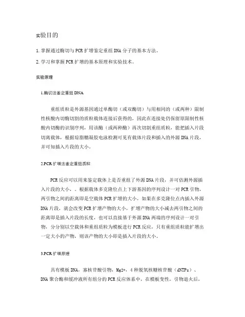 重组质粒的构建与转化2解析