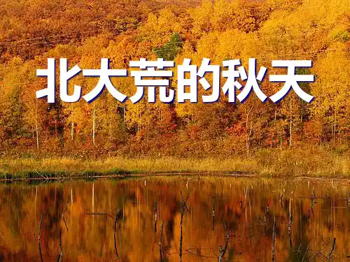 《北大荒的秋天》PPT课件