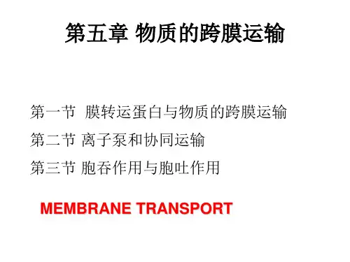 第五章物质跨膜运输