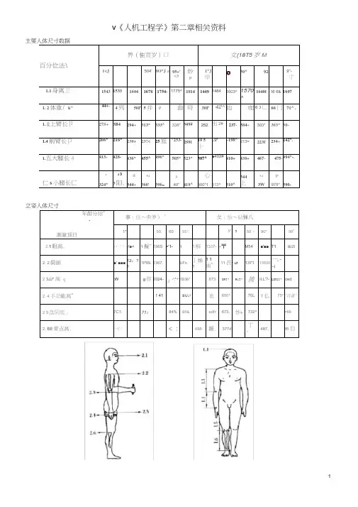 主要人体尺寸数据