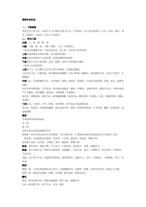 背部专业知识
