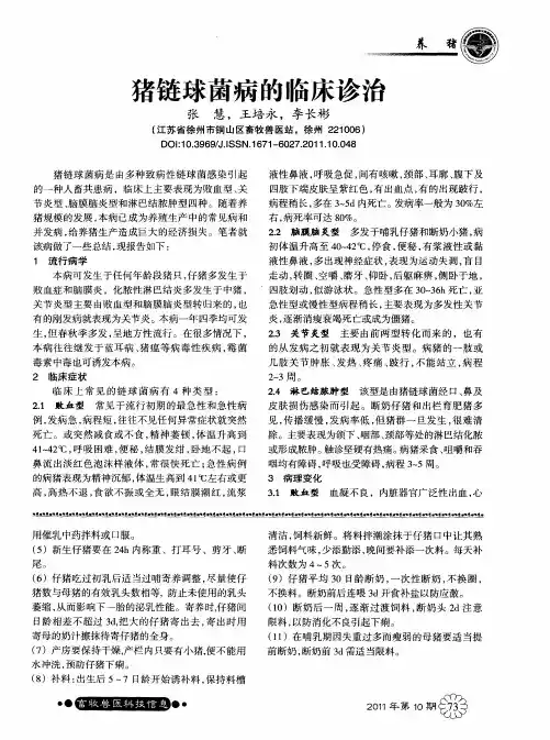 猪链球菌病的临床诊治