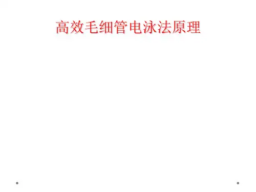 高效毛细管电泳法原理