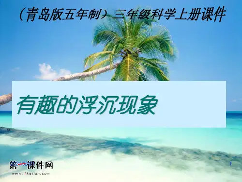 有趣的浮沉现象 ppt(青岛版五年制)三年级科学上册优质课件PPT