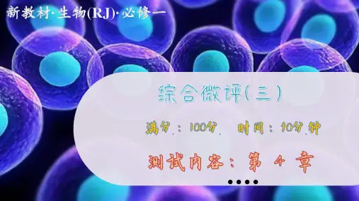 人教版生物必修1 综合测评3(课件PPT)