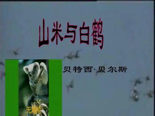 山米与白鹤语文课件PPT