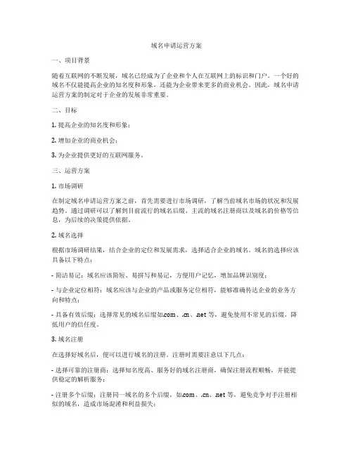 域名申请运营方案