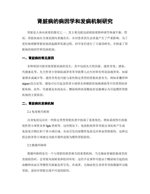 肾脏病的病因学和发病机制研究