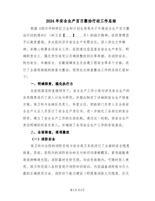 2024年安全生产百日整治行动工作总结（二篇）