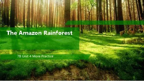 七年级英语7BU4-4 More practice_ The Amazon Rainforest