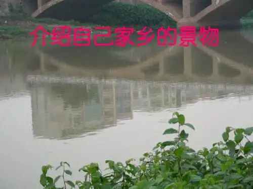 介绍家乡的景物作文指导
