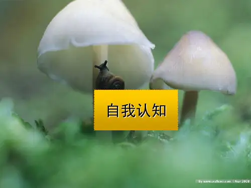 自我认知(大学生就业指导)
