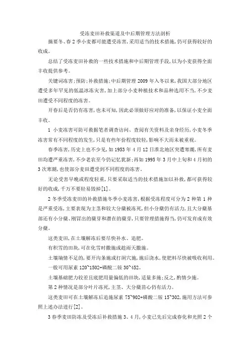 最新-受冻麦田补救渠道及中后期管理方法剖析 精品