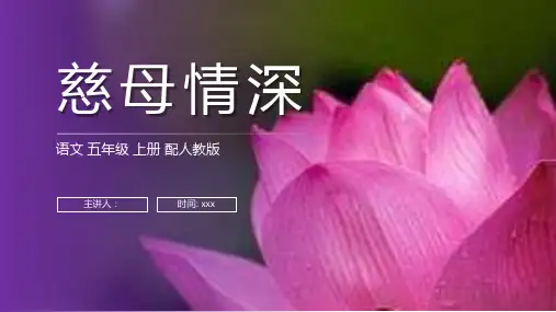 《慈母情深》人教版五年级上册语文PPT课件