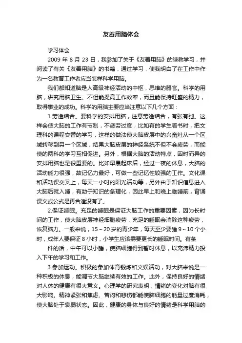 友善用脑体会