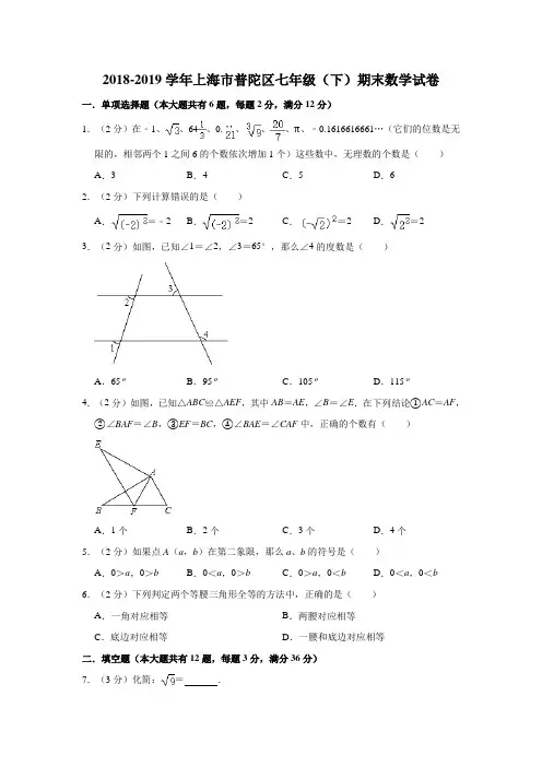 2018-2019学年上海市普陀区七年级(下)期末数学试卷