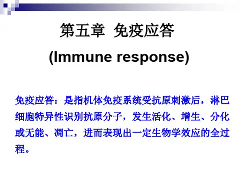 12免疫应答-王莹(ppt文档)