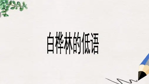 六年级语文上册1.3白桦林的低语课件北师大版