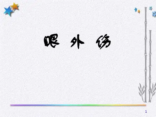 眼外伤ppt课件