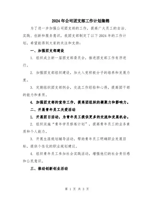2024年公司团支部工作计划集锦